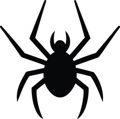 spider on a white background
