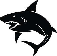 Fototapeta premium shark isolated on white background