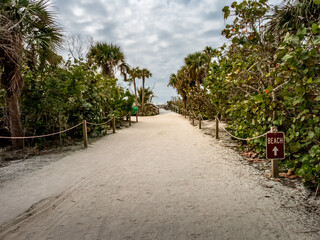 Obraz premium A sandy path lined with lush greenery, palm trees, and a 