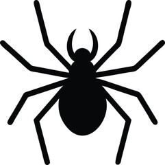 spider on a white background
