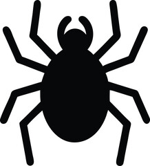 black spider isolated on white background