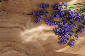 lavender flowers on dark wooden background