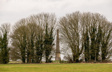 An Obelisk through the trees on a hilltop