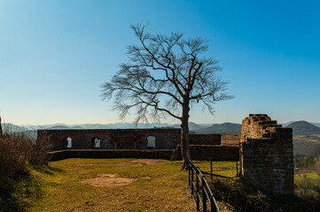 BURGRUINE LINDELBRUNN BEI VORDERWEIDENTHAL / Pfälzerwald 