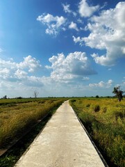 Fototapeta premium country road in the countryside