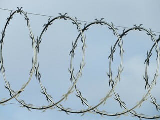 barbed wire against blue sky