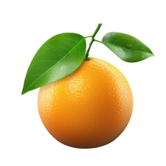 orange on transparent background