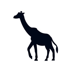 Fototapeta premium giraffe animal vector illustration