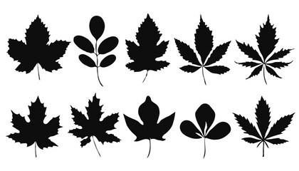 set of leaf silhouettes