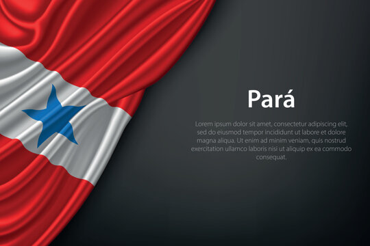 Para state flag on dark background