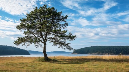 Obraz premium Exploring Spieden Island: A Washington Gem