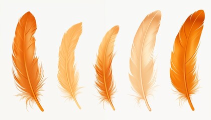 gold yellow pink green blue silver purple orange feather isolated on white