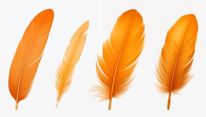 gold yellow pink green blue silver purple orange feather isolated on white