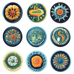 Microscopic Cell Structures in Round Designs, Scientific and Artistic View