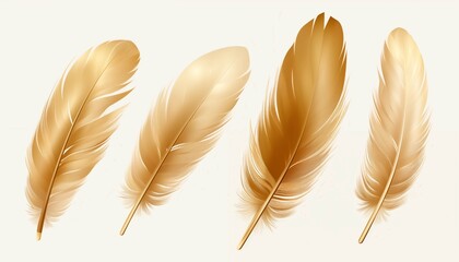 gold yellow pink green blue silver purple orange feather isolated on white