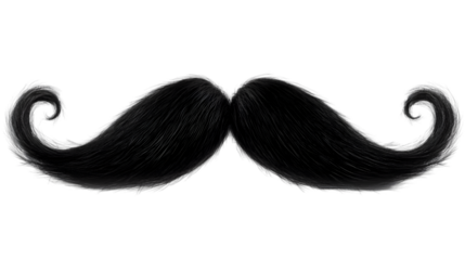 Elegant Mustache Isolated on White Background, Graphic Design Resource for Projects