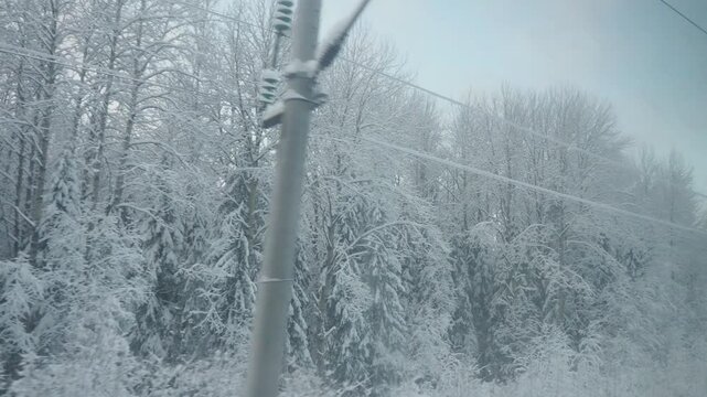 Travel through a stunning winter wonderland on a railroad journey, surrounded by snow-covered trees and the tranquility of the taiga forest. Experience nature beauty. Traveling by rail. Frosty morning