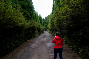 A person wearing a red jacket walks along a misty forest path, surrounded by lush greenery in the...