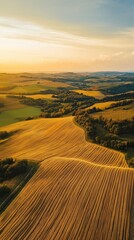 Panoramic aerial view of rolling hills and golden wheat fields extending to the horizon at sunset in a serene countryside landscape