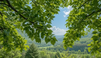 Fototapeta premium Nature view through lush green leaves scenic landscape daylight tranquil environment