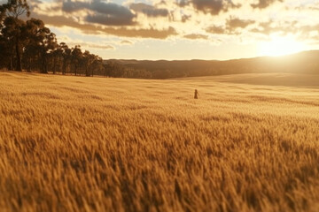 Obraz premium A person walks through a golden wheat field surrounded by trees as the sun sets, casting a warm glow over the expansive landscape Generative AI