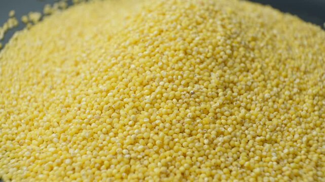 Healthy millet cereal grains rotate close-up