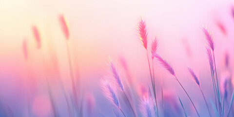 Fototapeta premium Gentle sunrise over pastel colored meadow with delicate grass stalks swaying in the morning breeze