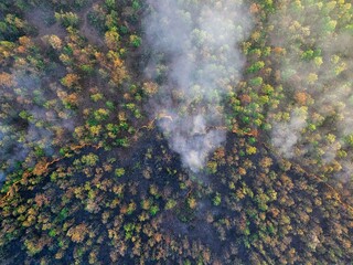 Drone view of a forest fire, with smoke and emissions, showing the devastating effects on the environment and climate change.
