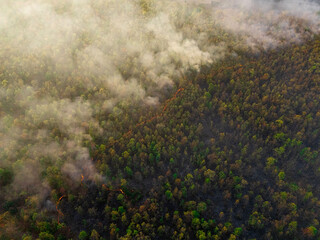 Intense wildfire seen from above—burning trees, thick smoke, and carbon emissions fill the air....