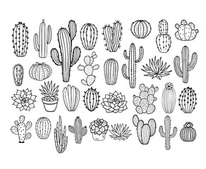 Cactus Desert Flower Cute Doodle DIY Gift Clipart Silhouette Shape