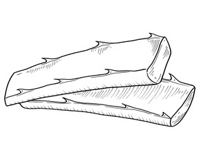 Fototapeta premium Aloe Vera Hand Drawn Illustration