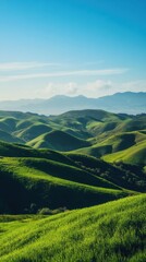 Obraz premium Rolling green hills under a clear blue sky. Vertical