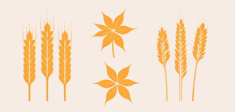 Fall Symbol Draw