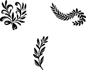 Abstract leaves. Hand drawn black plants. Vector foliage silhouettes. Natural organic ornament.