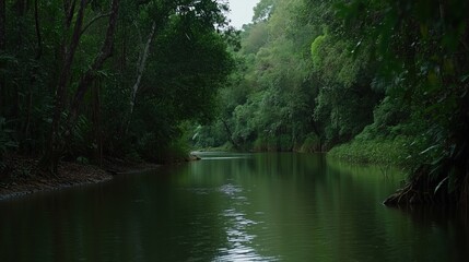 Fototapeta premium Tranquil Riverine Scene: A serene river flows through a dense, verdant jungle, the lush green vegetation reflected in its calm waters, creating a sense of peace and immersion.