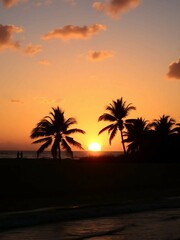 The sun setting over calm ocean waters, casting golden reflections along the sandy beach.