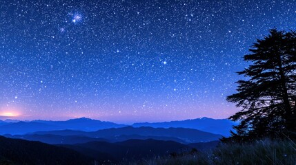 Starry night mountain vista, silhouette of tree, dawn