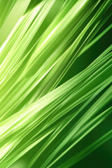 Obraz premium Close-up of vibrant green blades of grass in sunlight