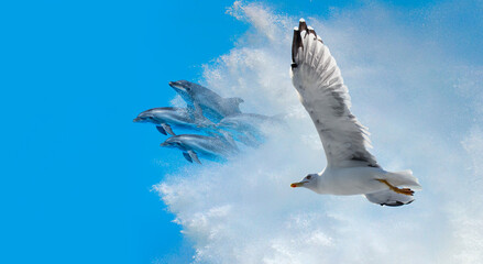 Fototapety na wymiar - Fototapeta24.pl