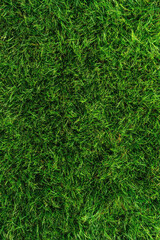 Vibrant green grass texture close-up showing lush natural lawn surface detail