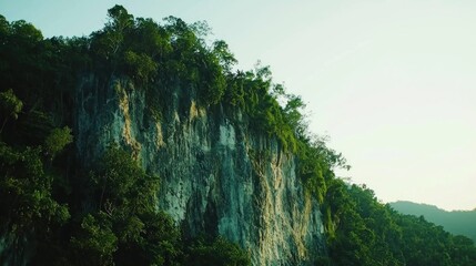 Lush jungle cliff face at sunrise