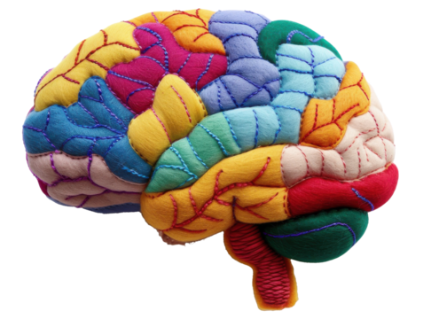 Colorful felt art representation of a human brain highlighting various regions and connections in a creative and artistic manner