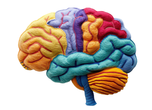 Colorful felt representation of a human brain showcasing different regions and neural pathways in a unique artistic design