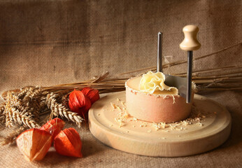 Vintage Still Life of Swiss Cheese specialty - Tete de Moine