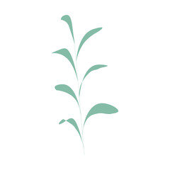 Obraz premium Spring plants
