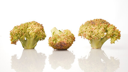 Broccoli Florets Isolated in White Background Highlighting Fresh Vegetables on a Clean Surface