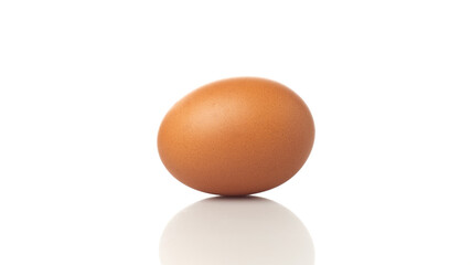 Isolated in White Background, a Brown Egg Resting on a Reflective Surface Under Soft Lighting
