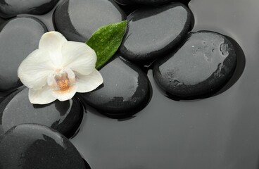 Spa stones and orchid flower on water surface, flat lay. Space for text
