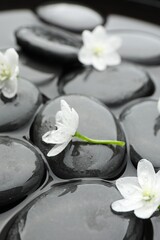 Spa stones and flowers in water, closeup