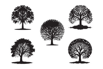 Obraz premium set of trees silhouettes
